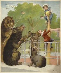 Bears Baiting Boys